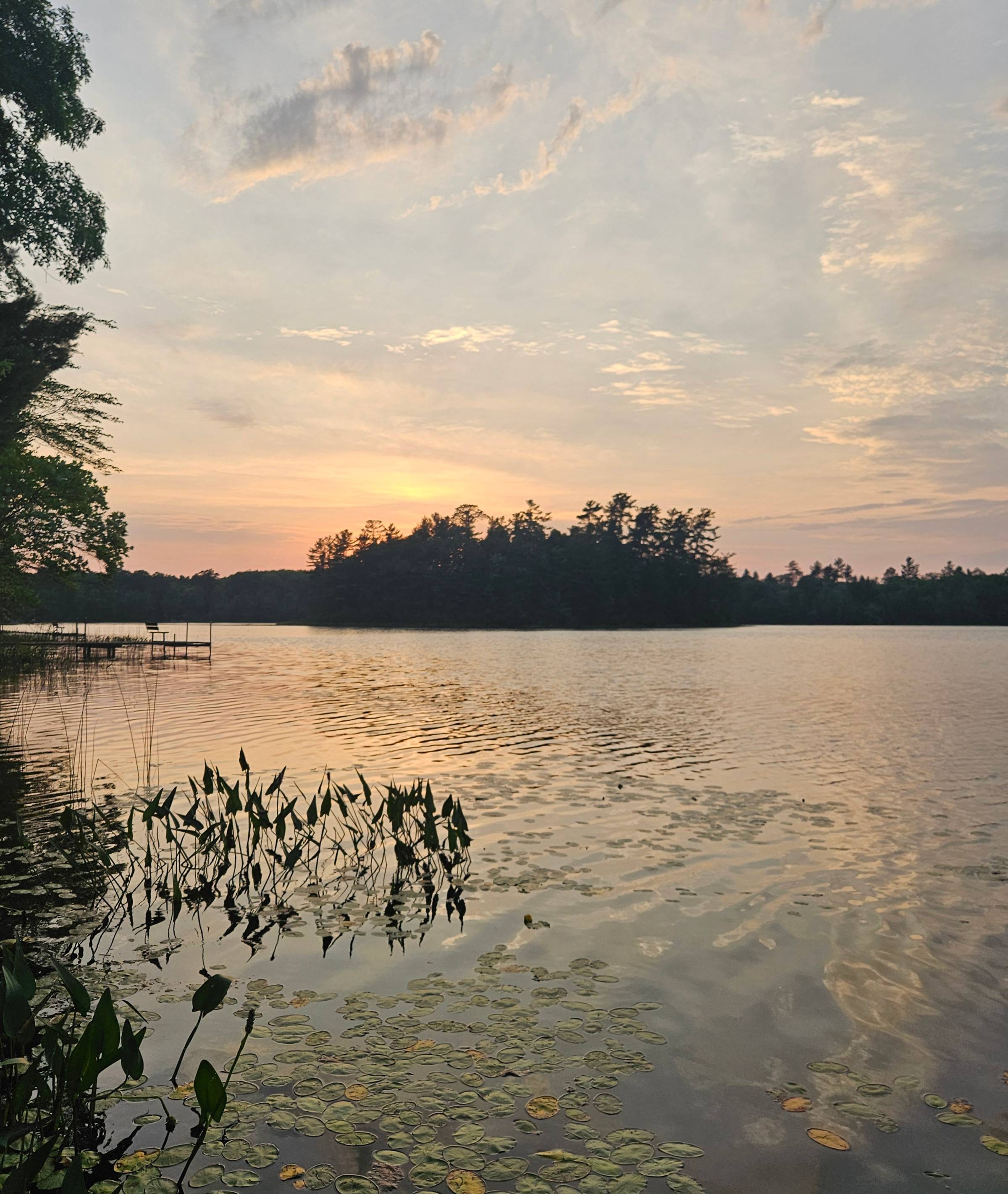 A photograph of an island in a lake at sunset, with the sun behind the trees. The sky is blue and pink, and there are lilypads and reeds in the water close to shore.
