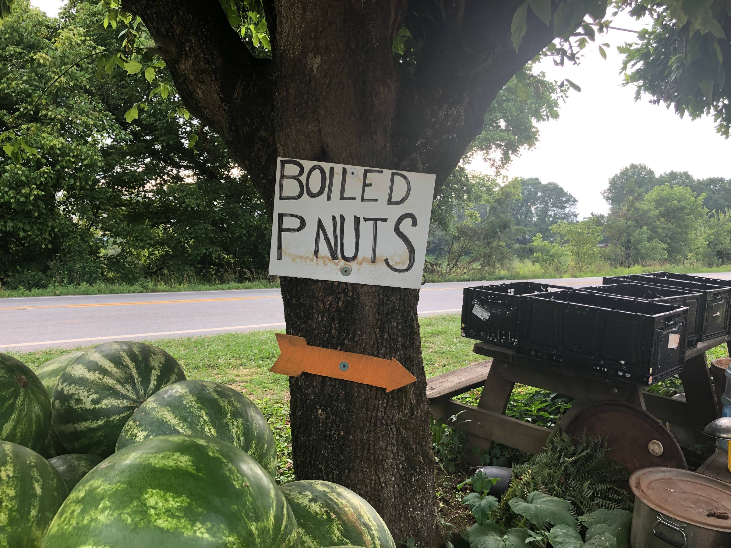 A handmade sign reading "Boiled P Nuts" is posted on a tree at a roadside stand.