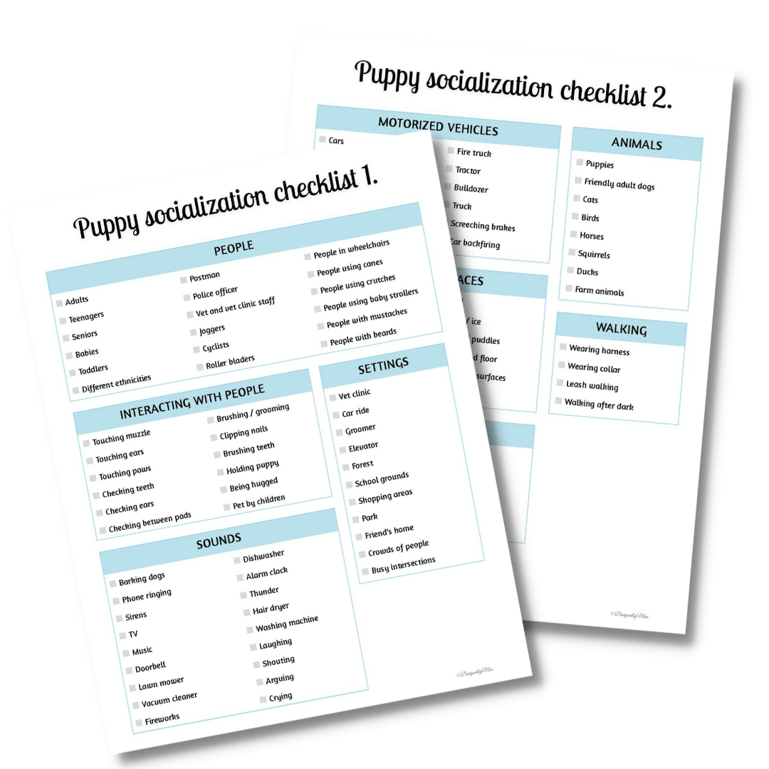 Free printable Puppy socialization checklist