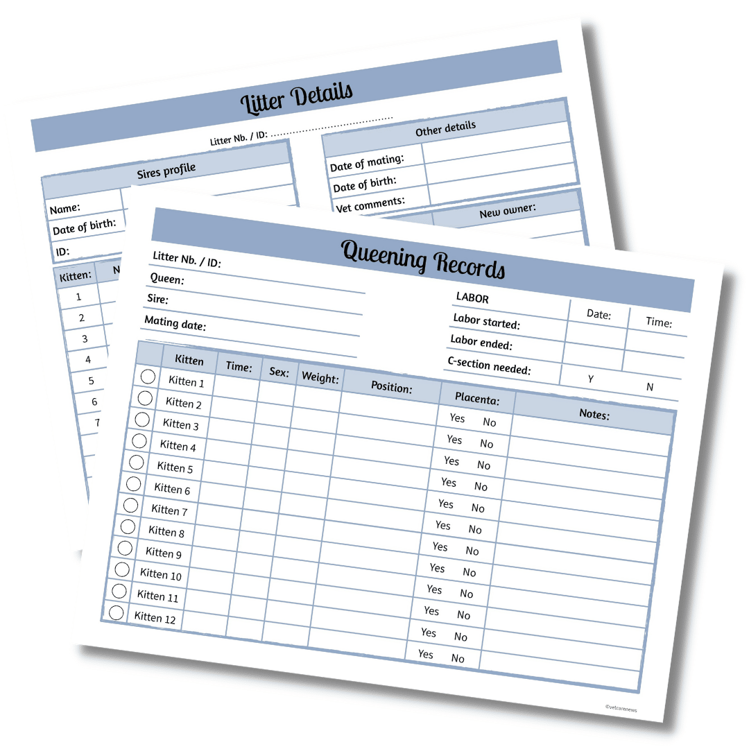 Free printable whelping charts for cat breeders