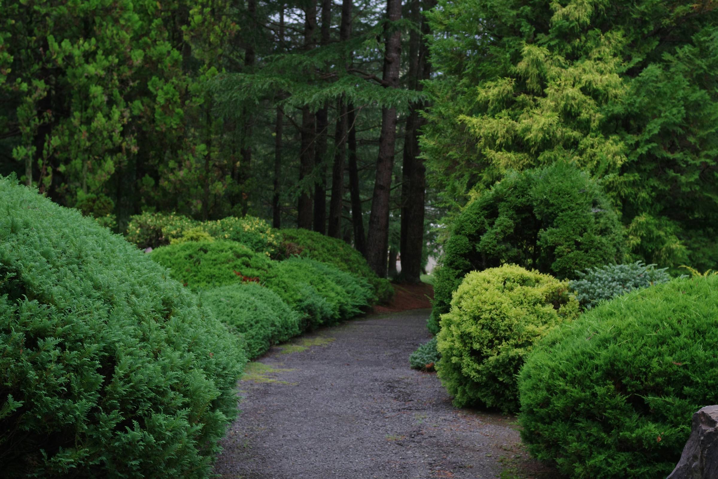 Inner Leadership Adventure Invitation on wooded pathway