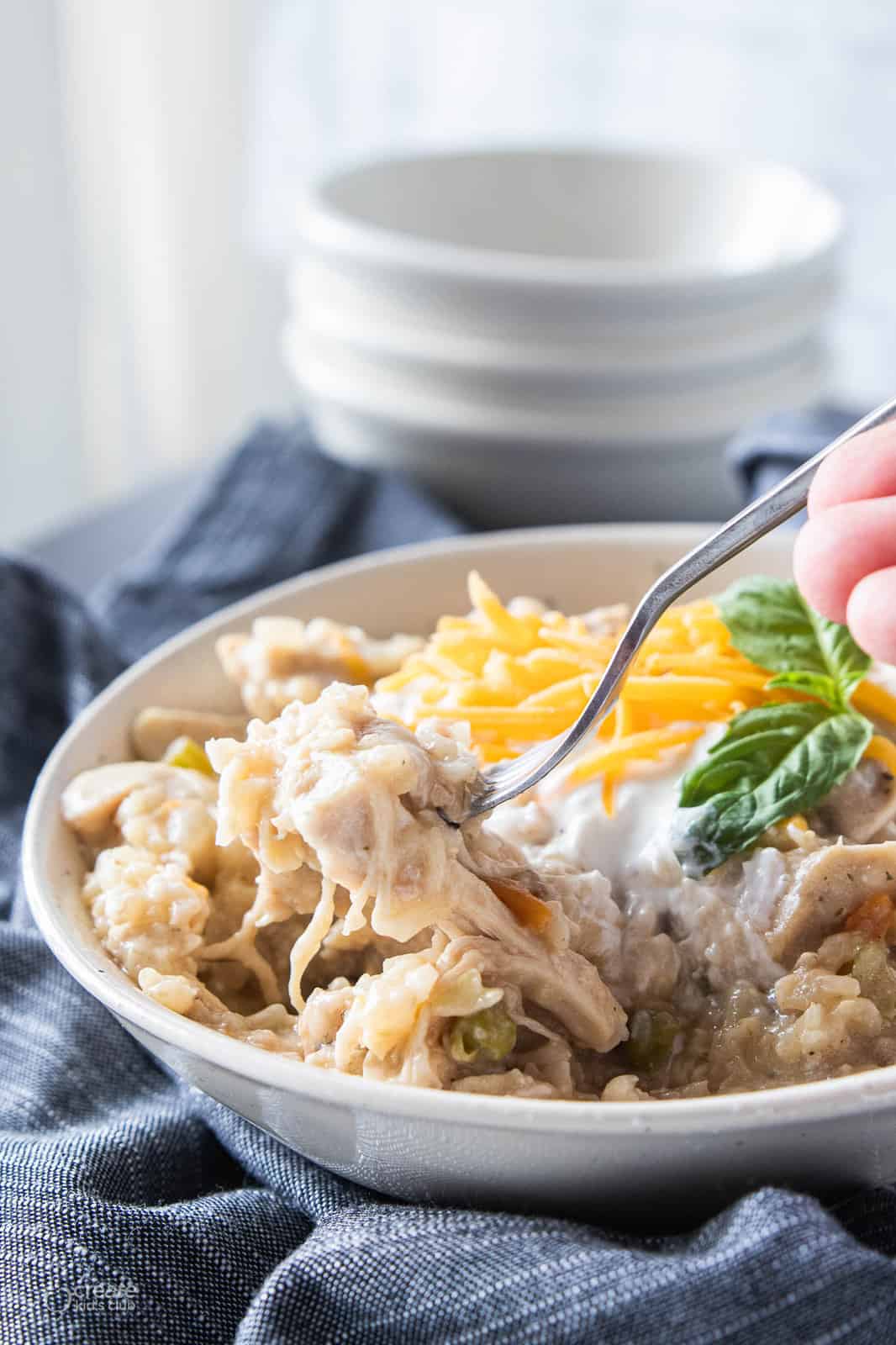 crockpot chicken and rice