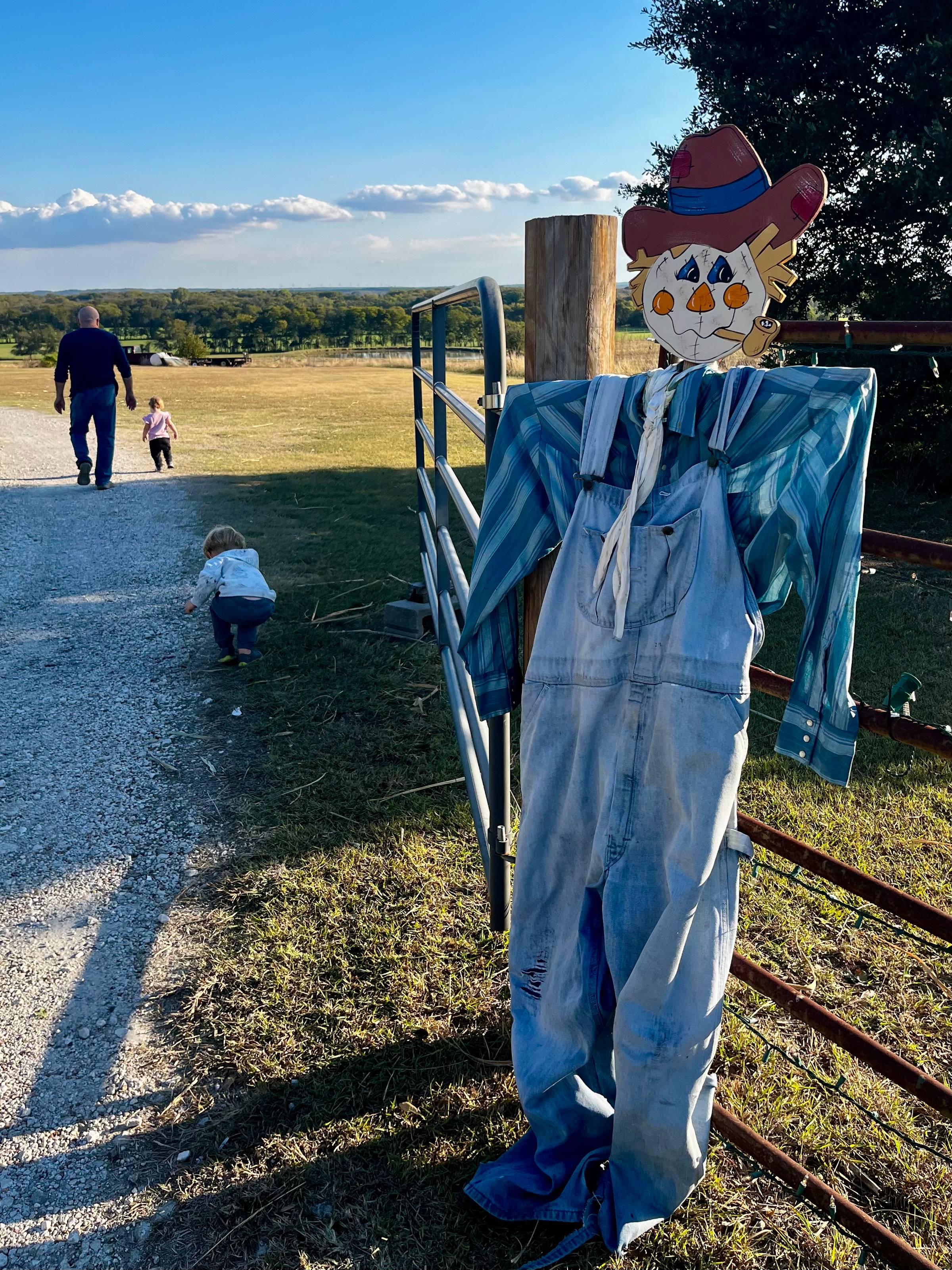 my handmade scarecrow on our gate
