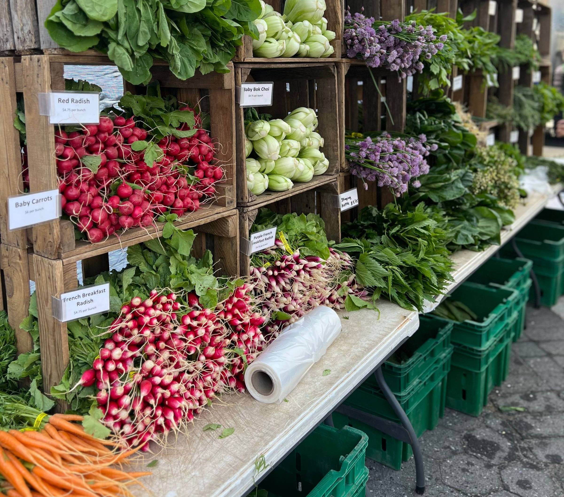 Farmer's Market