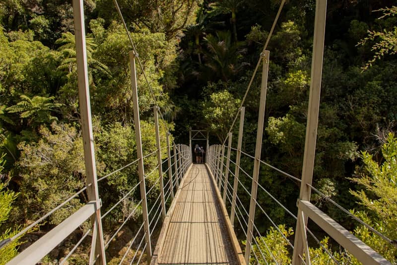 A wooden suspension bridge in the middle of a forest