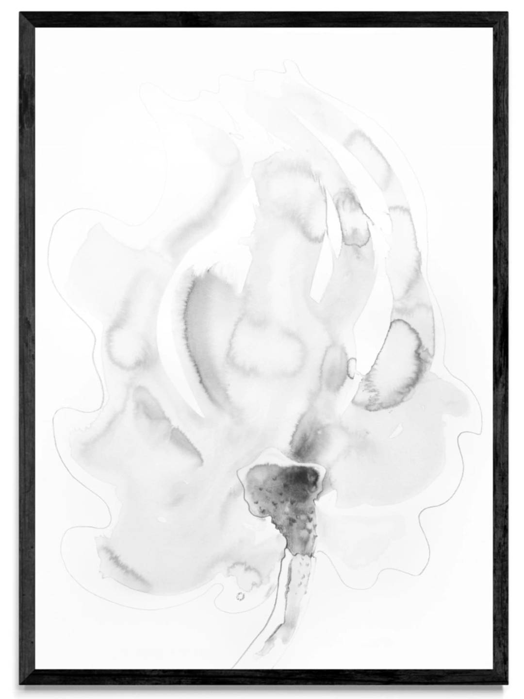 FLOR FANTASMA 2