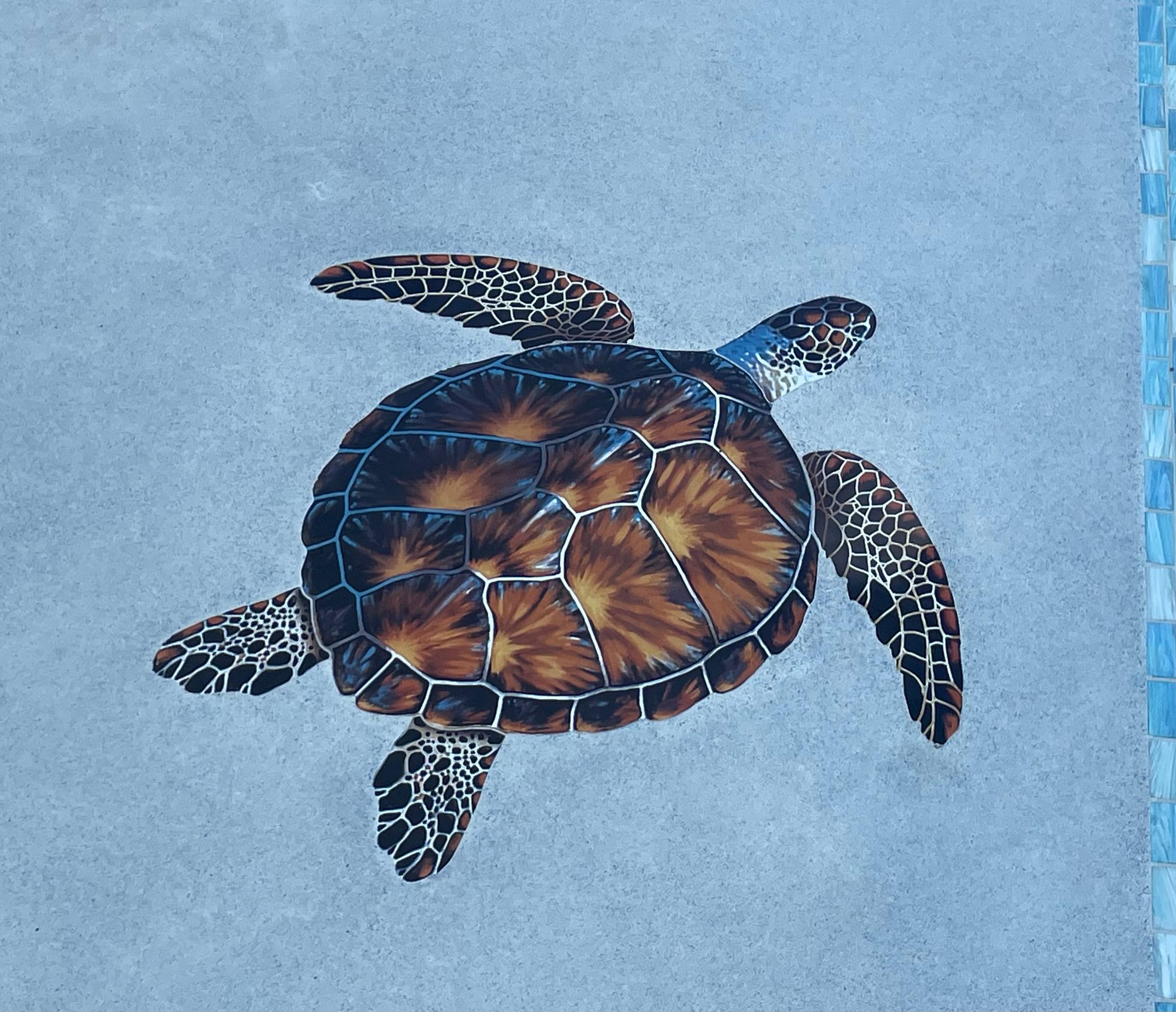 Slow and Steady