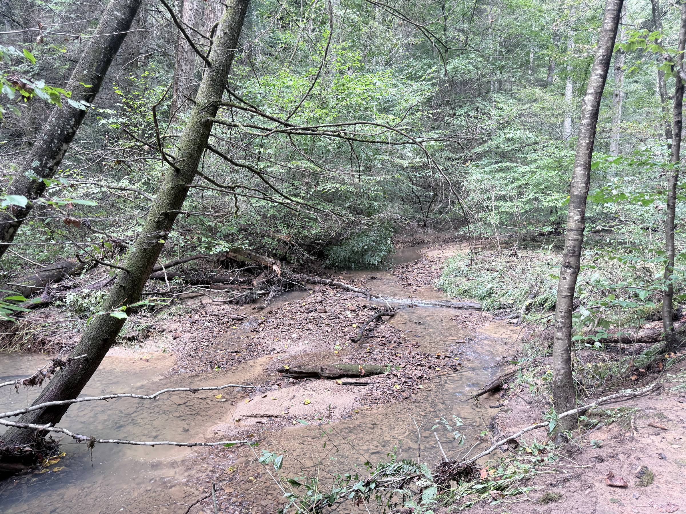 a quiet creek in Hocking Hills State Park