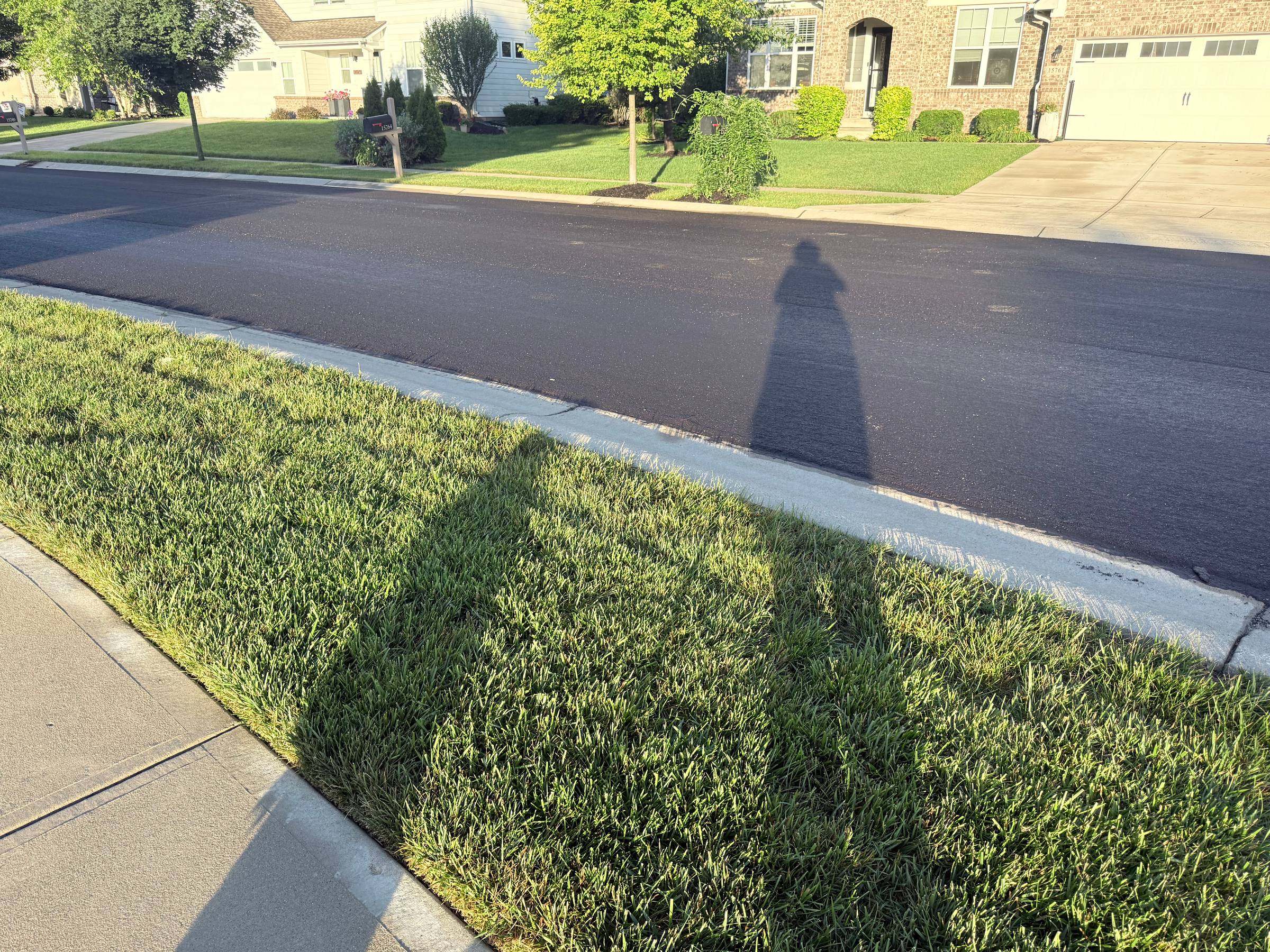 Reflections of a woman and her dog across sidewalk, grassy median, and freshly paved street.