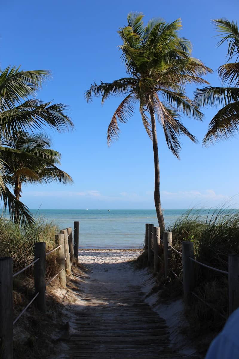 A sandy path leads to the sunny beach.
