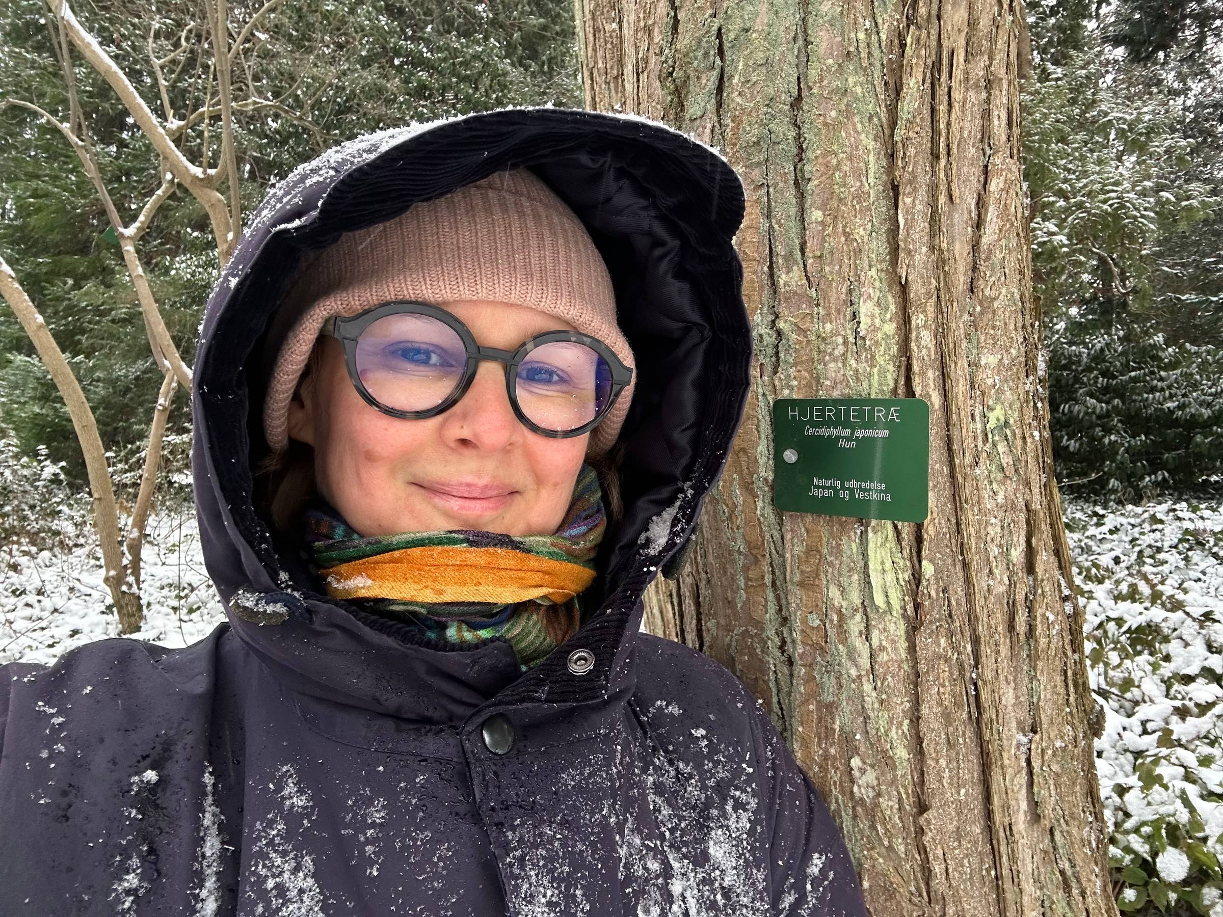Martina in her winter jacket next to a Katsura tree with a label "Hjertetræ" - Heart tree in Danish