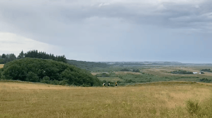 An animated image of three people on a path through a summer landscape, jumping and waving  their hands. 