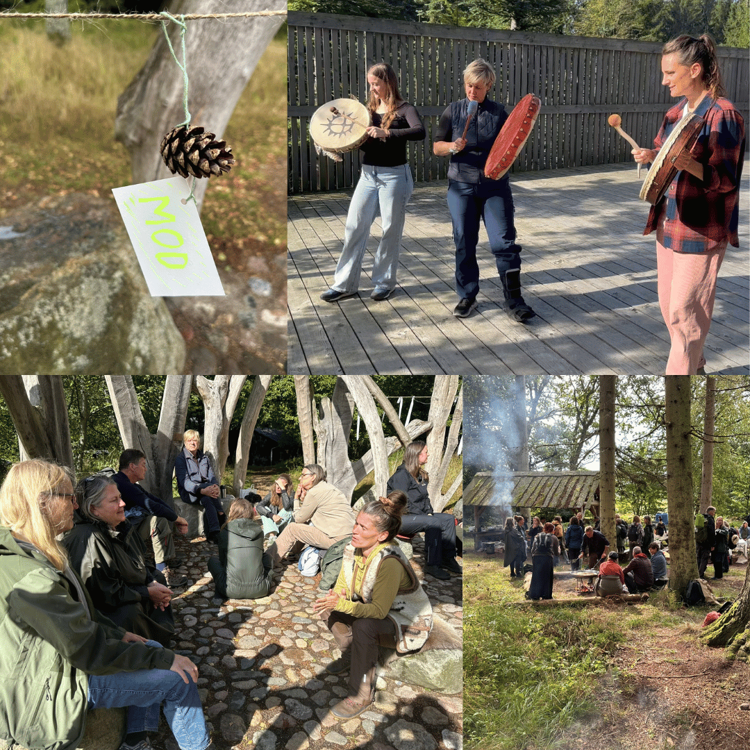 Snippets from the day from top left: a dream (courage), the drums calling in the gathering, the dreaming group and lunch over the fire.