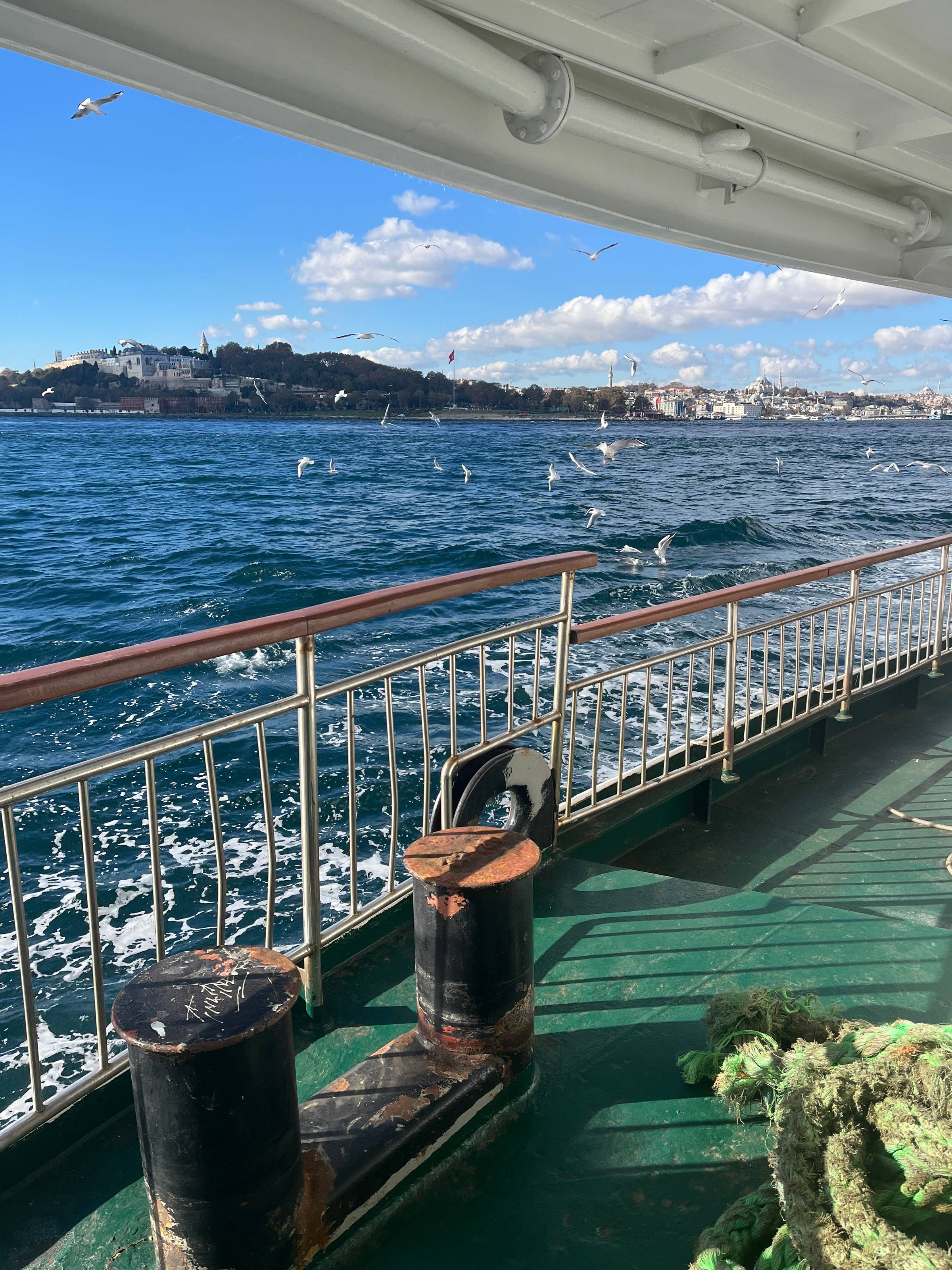A view from the rails of a ferry in Istanbul, with the Sultanahmet skyline of Hagia Sophia, the Blue Mosque and Topkapi Palace visible over the water and a flock of seagulls. It is a bright sunny morning with blue skies and the rail casts shadows on the w