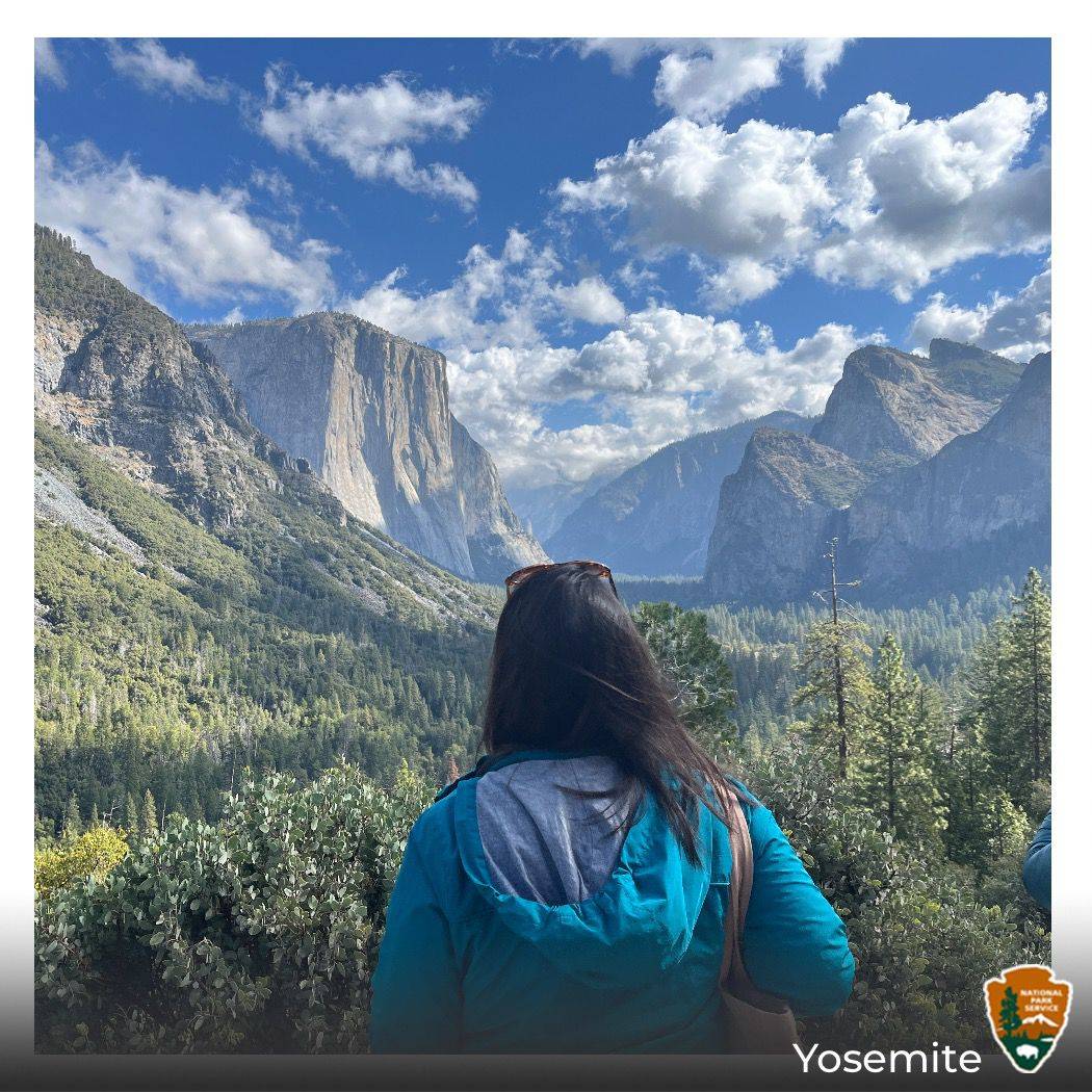 Author Malia Yoshioka looks out at Yosemite Valley from Tunnel View lookout on the way to Yosemite National Park during the government shutdown