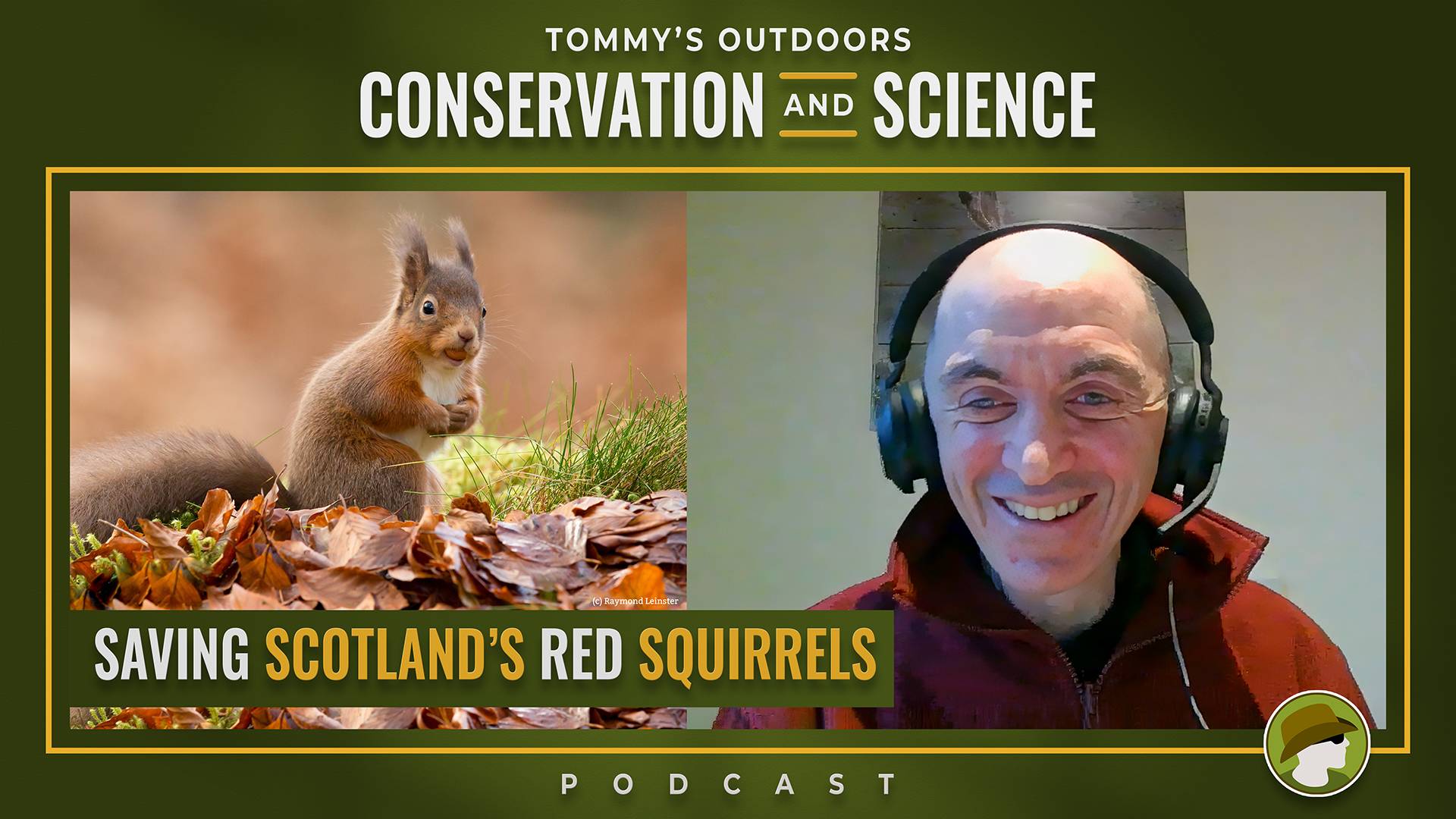 Podcast episode cover art for 'Saving Scotland's Red Squirrels'. The image is split into two panels against an olive-green background. On the left, a red squirrel sits upright amongst autumn leaves, holding its front paws together, with soft brown and gre