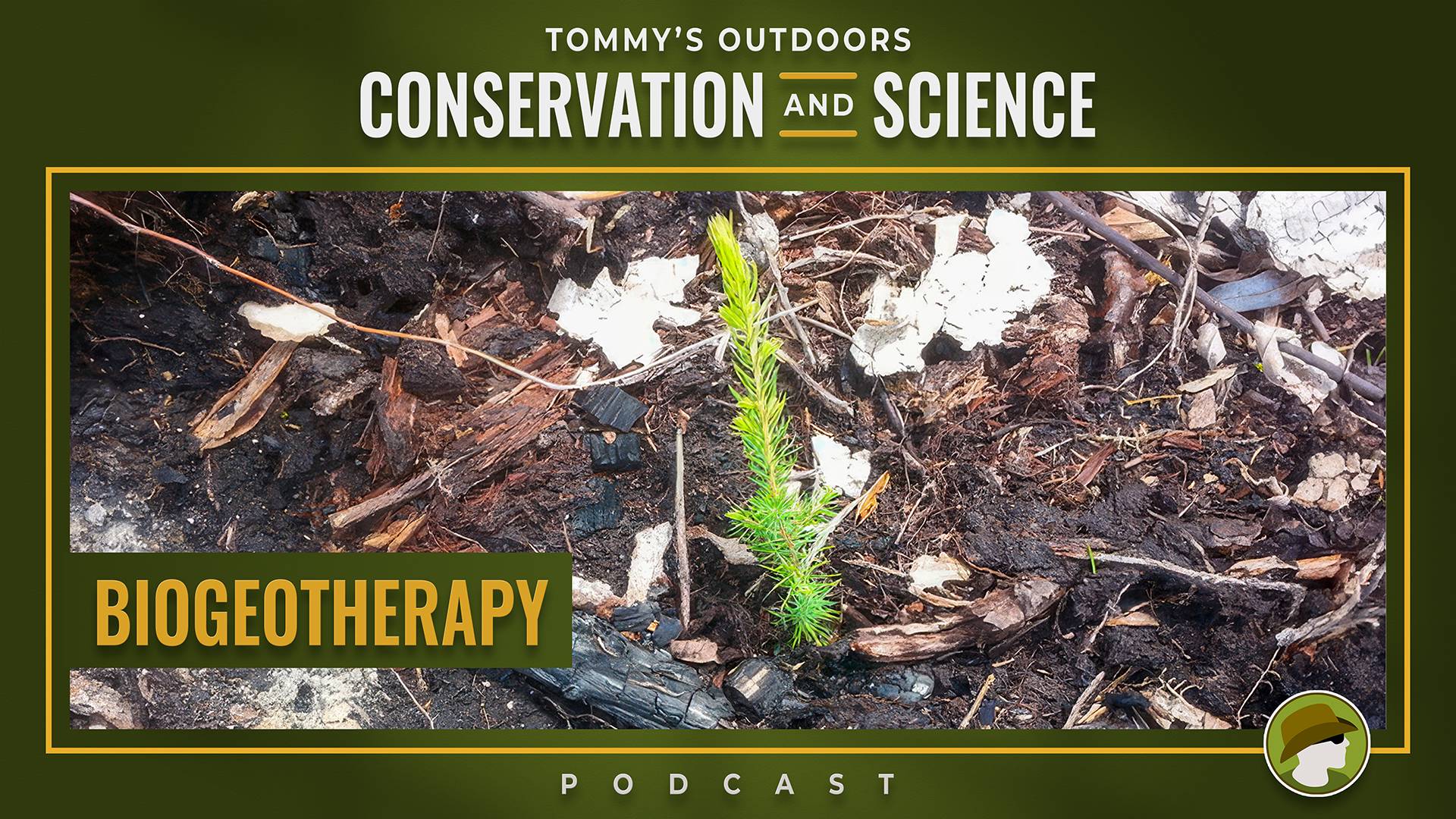 A vibrant young conifer seedling with bright green needles emerging from dark, charred soil scattered with ash, burnt wood fragments, and decomposing leaf litter - symbolising ecological regeneration after fire. The episode title 'Biogeotherapy' appears in bold gold text on a dark green banner in the lower left. The podcast name 'Tommy's Outdoors Conservation and Science Podcast' is displayed in white text above the image on a deep olive green background.