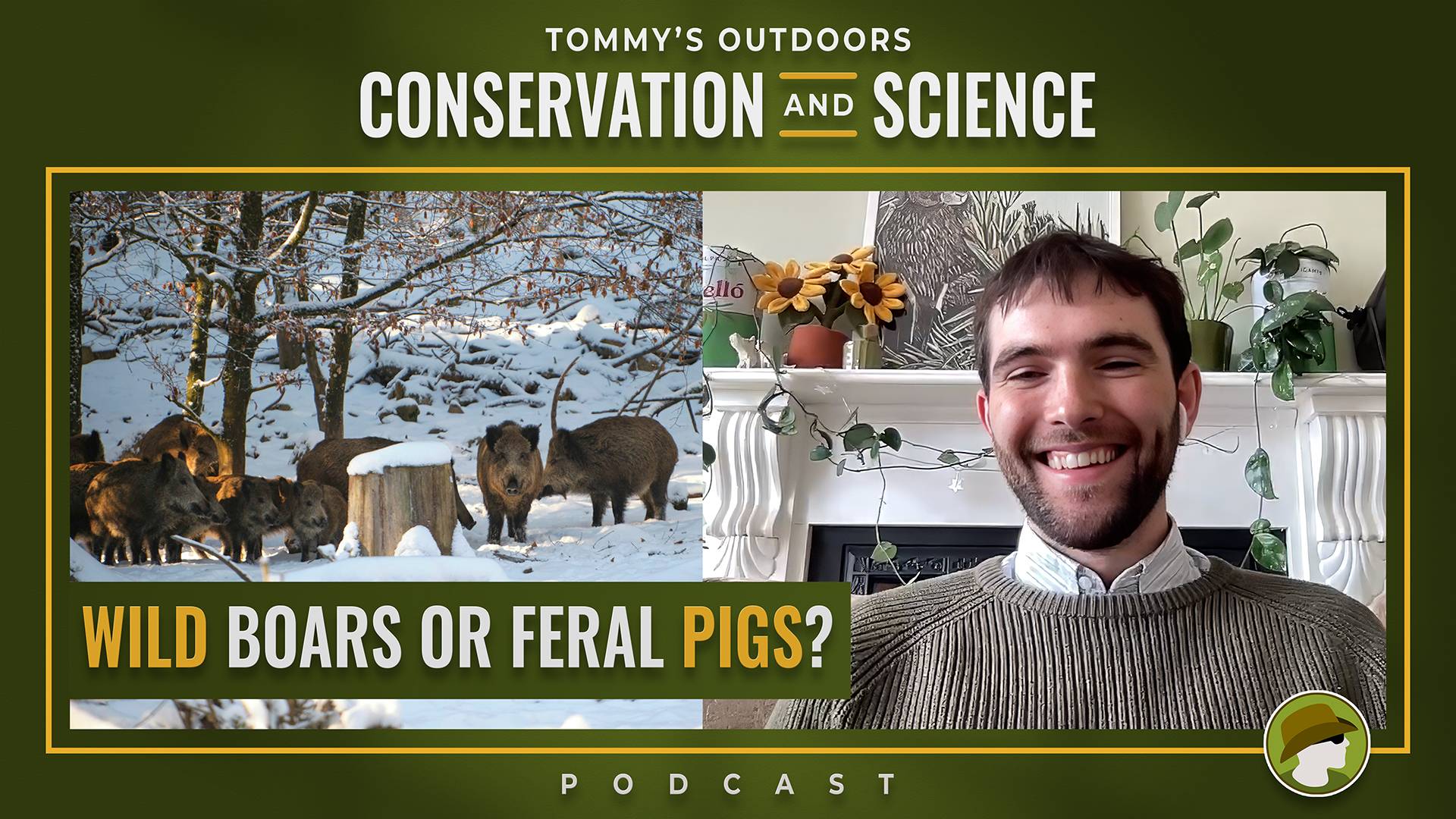 Podcast cover art for 'Tommy's Outdoors Conservation and Science Podcast', episode titled 'Wild Boars or Feral Pigs?'. On the left, a herd of dark brown, bristly wild boars, including several smaller juveniles, gathers around a snow-capped tree stump in a