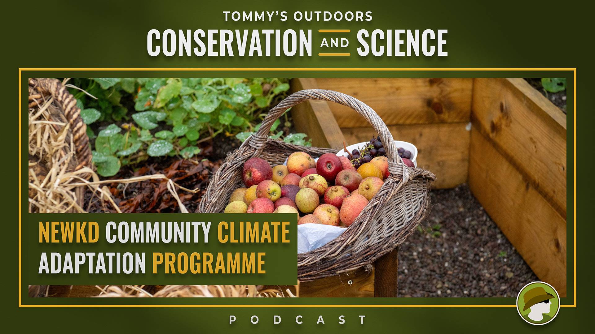 A woven wicker basket filled with freshly harvested apples sits on a wooden garden chair in an allotment setting. The apples display natural variations in colour, ranging from deep red to golden yellow. Behind the basket, a compost bin and green foliage a