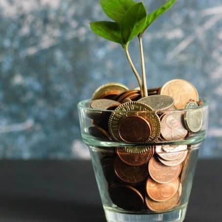 green plant in clear glass vase