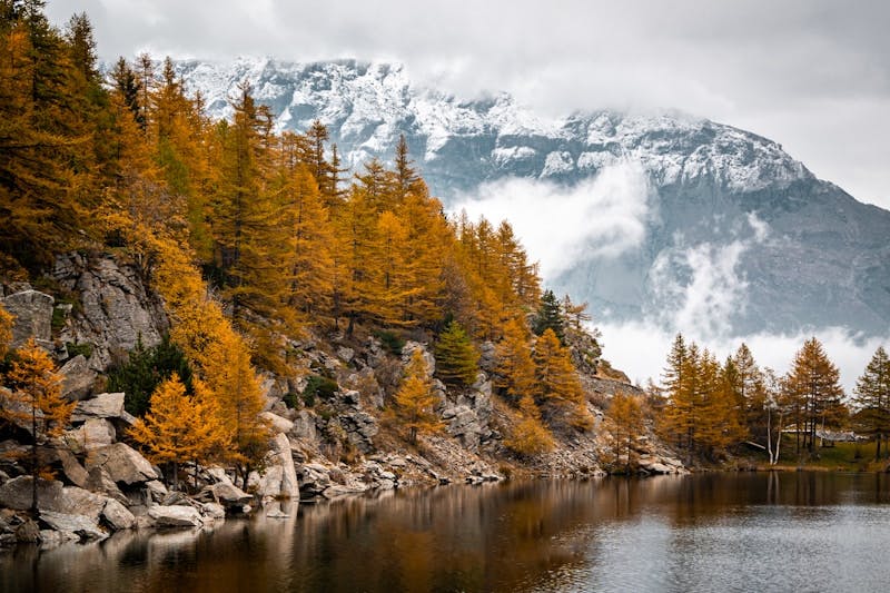 A body of water surrounded by trees with a mountain in the background