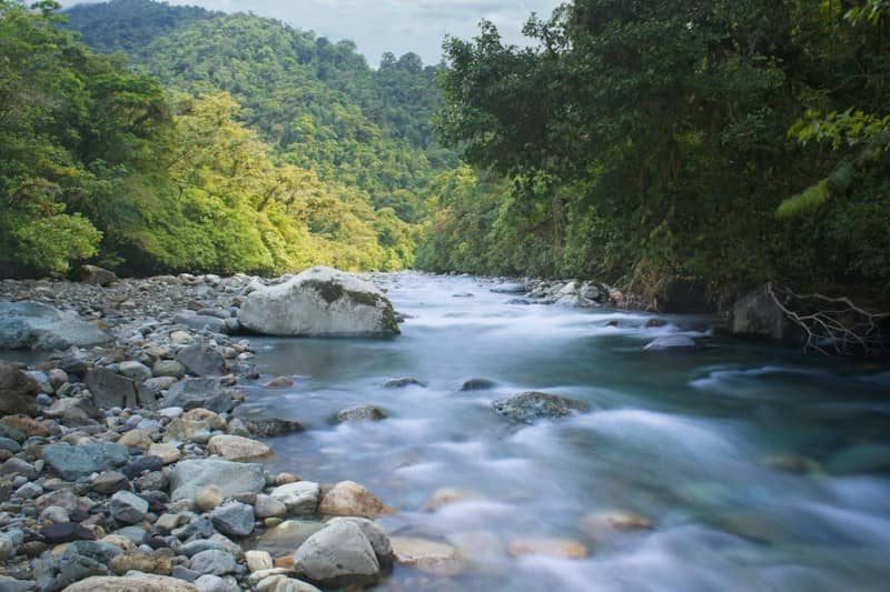 A long exposure of a clear river flowing over rocks through a lush forest
