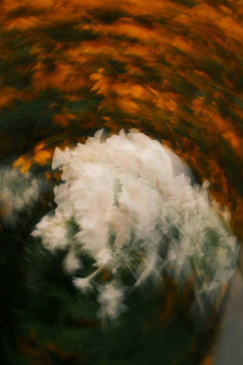 Blurred flowers