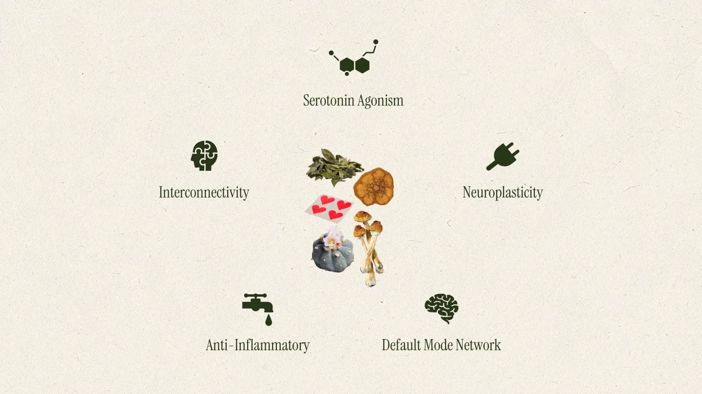 The Neuroscience of Psychedelics