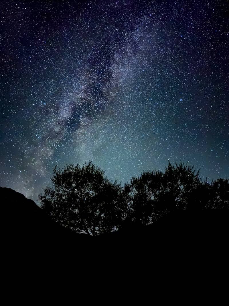 Milky way galaxy visible over silhouetted trees at night