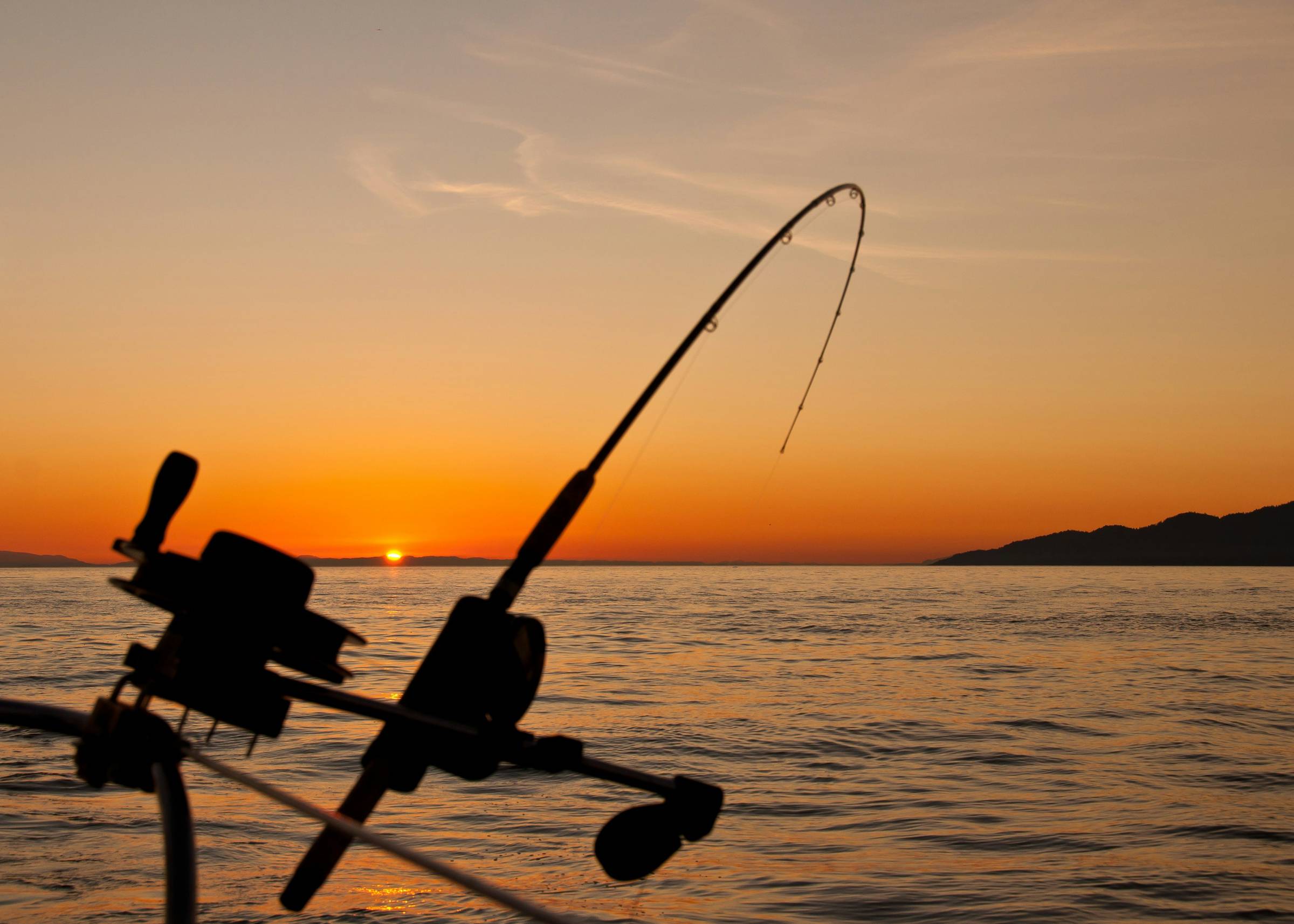 fishing pole hanging off boat rail