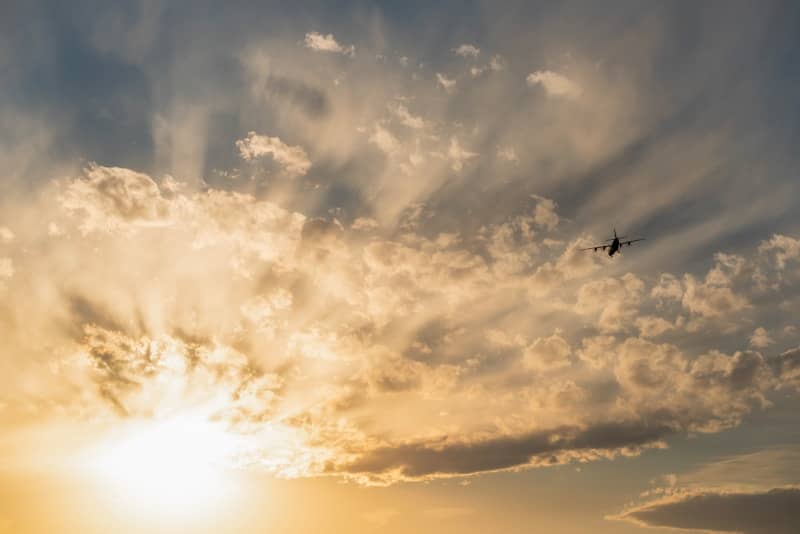 Vibrant sunset sky, golden clouds, sun rays, and flying bird.
