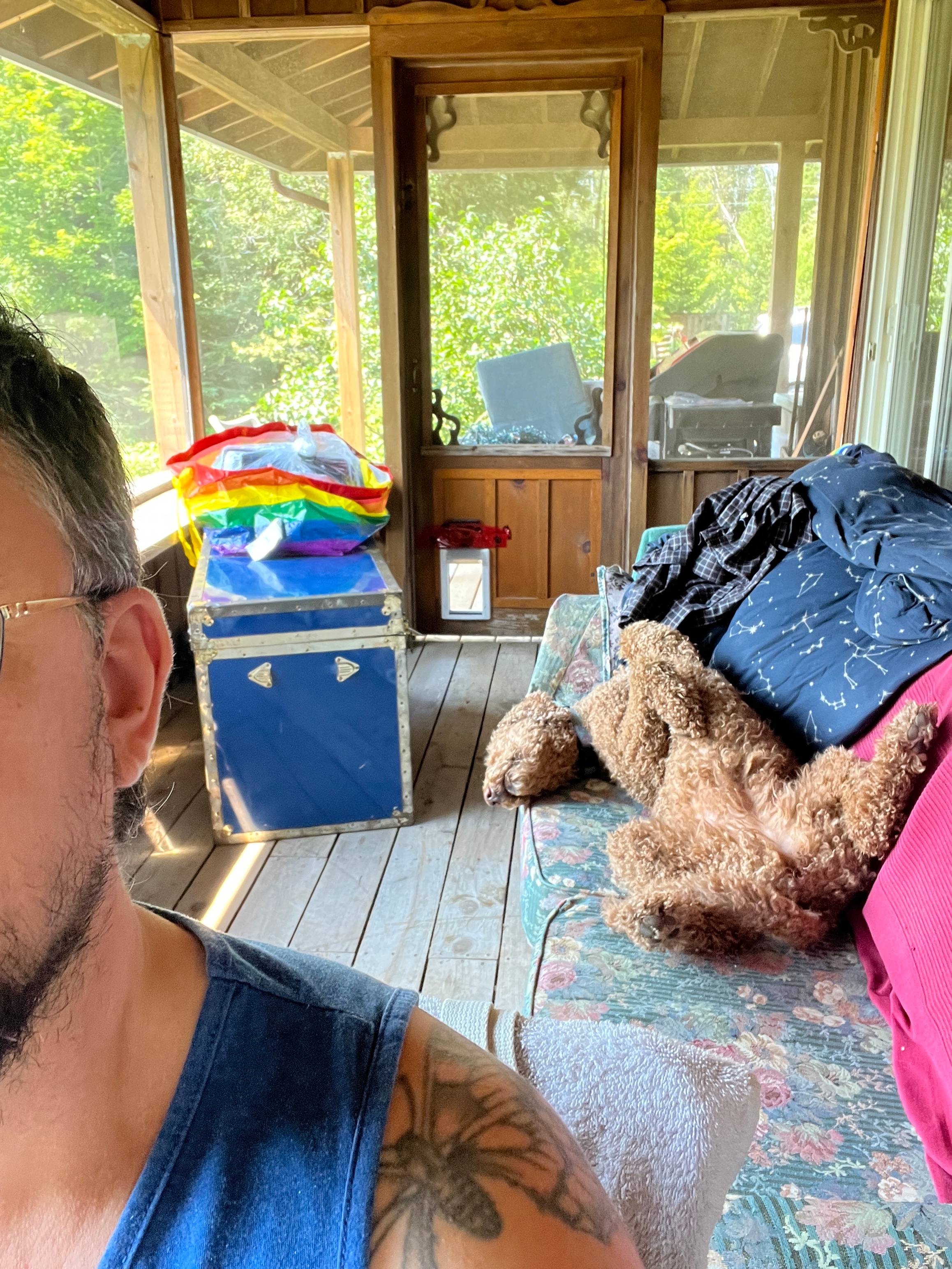Image is of a screened in porch in the summer, with a dog flopped out on the couvh showing her belly and the side profile of Lamia's ear and face.