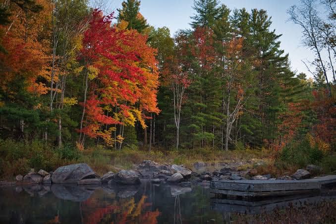 image of early fall trees along rocky edge of lake, and lake pictured also. 