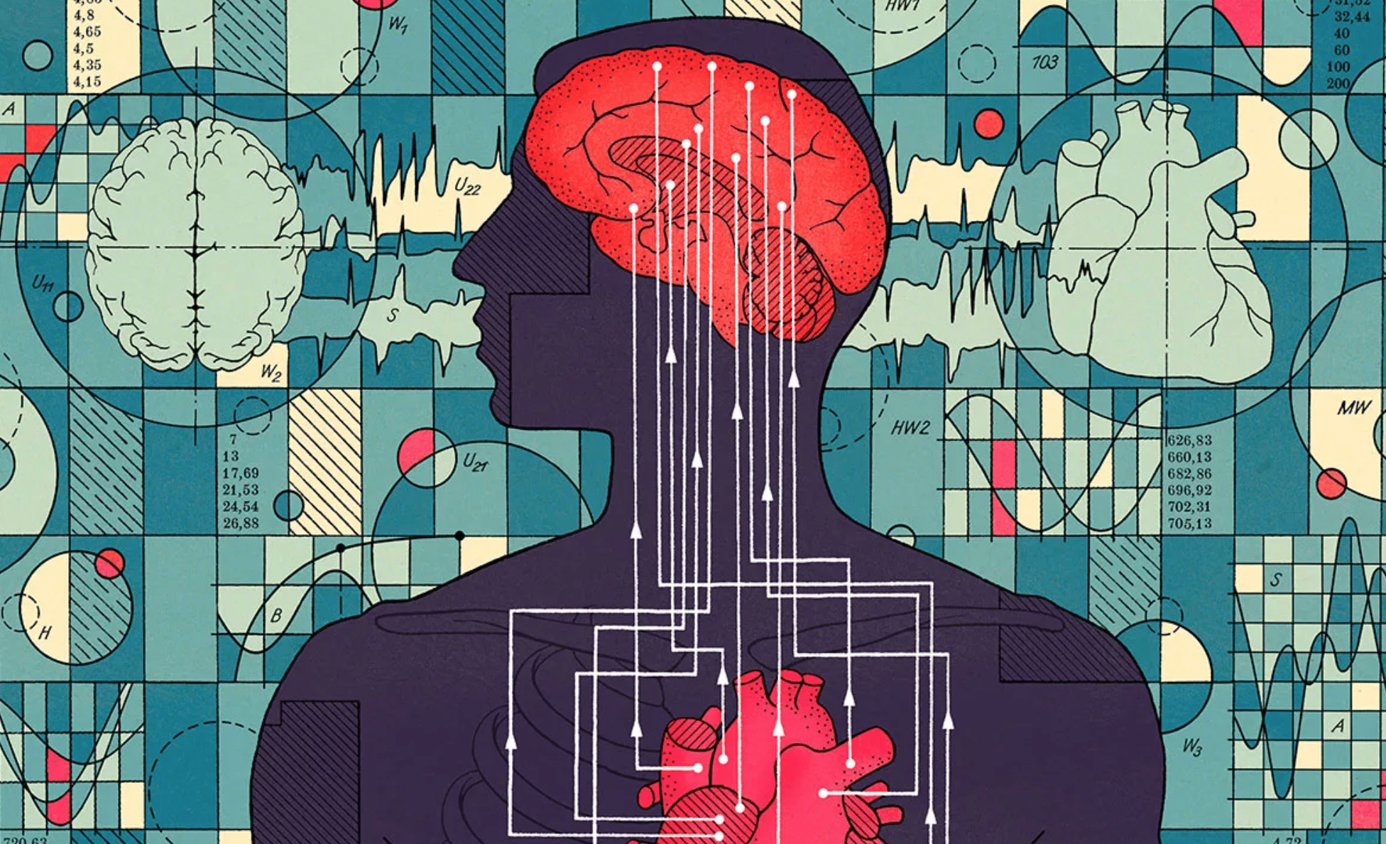 digital drawing of a person. you can see their brain and thei heart with lines going between both organs.