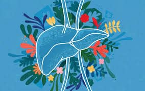 Image is a drawing of a liver against the backdrop of spring flowers and a blue background