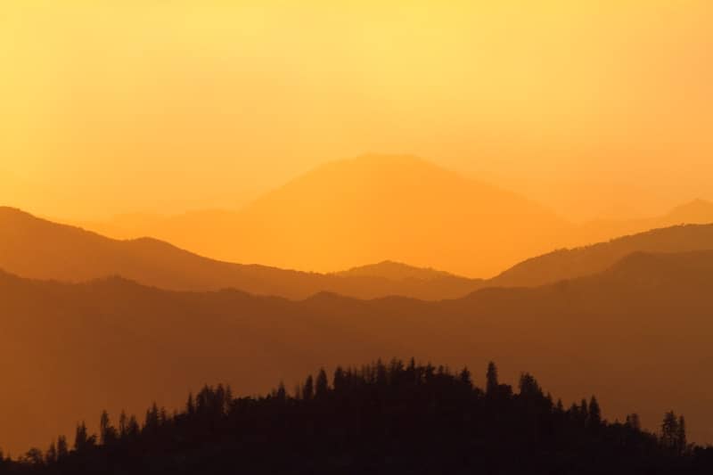 A bird flying over a mountain range at sunset
