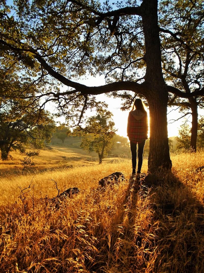 a person standing next to a tree in a field