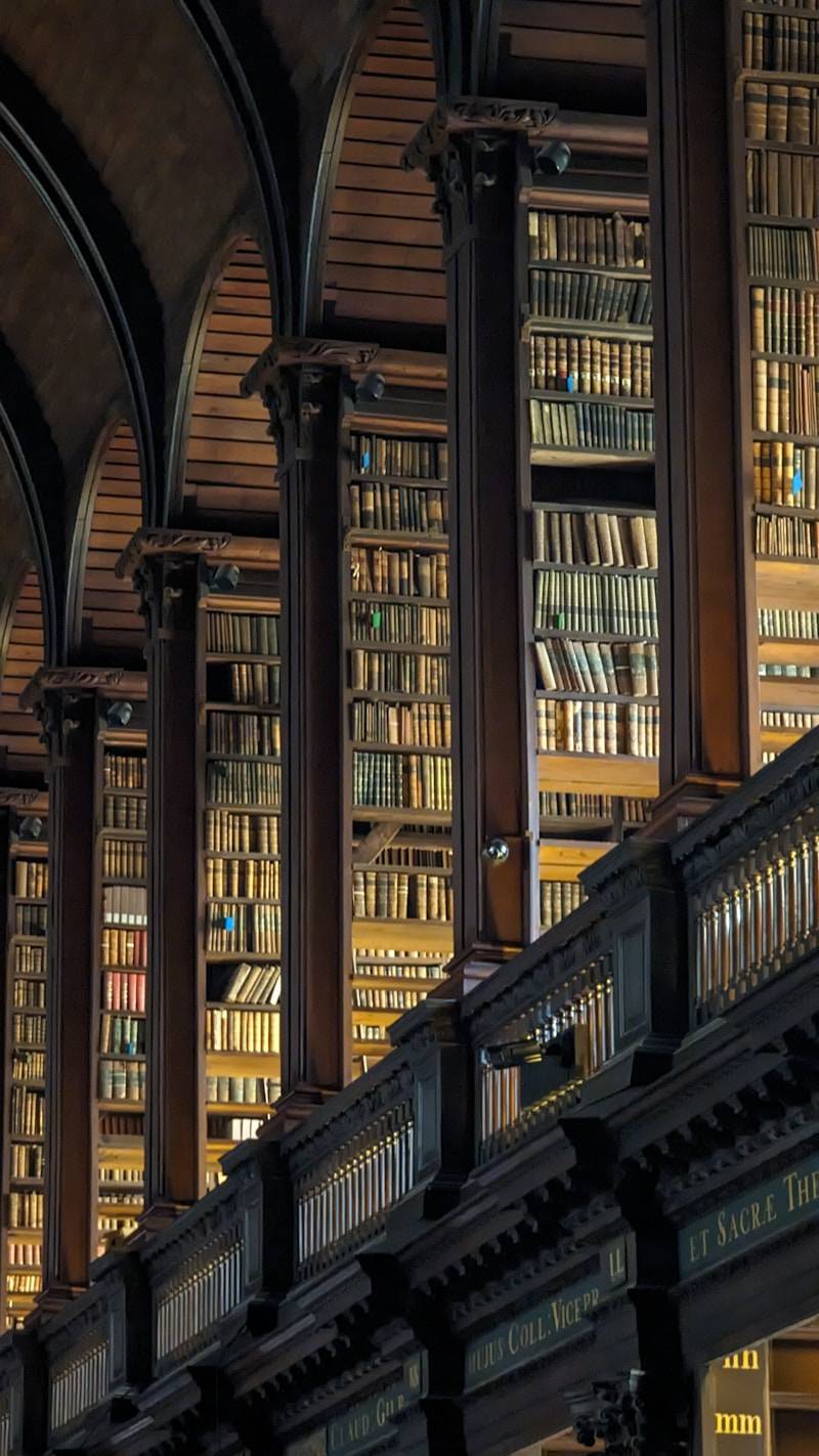 A large library filled with lots of books