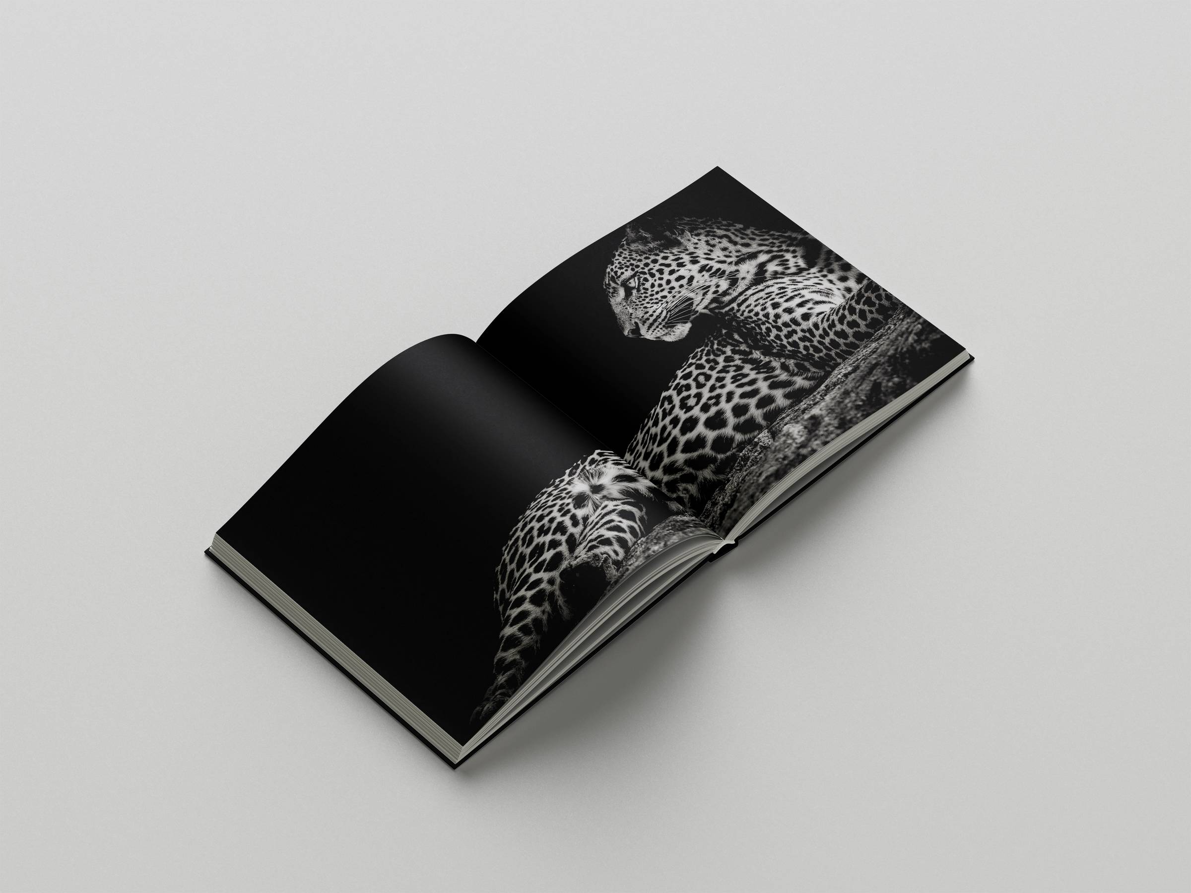 icon art book