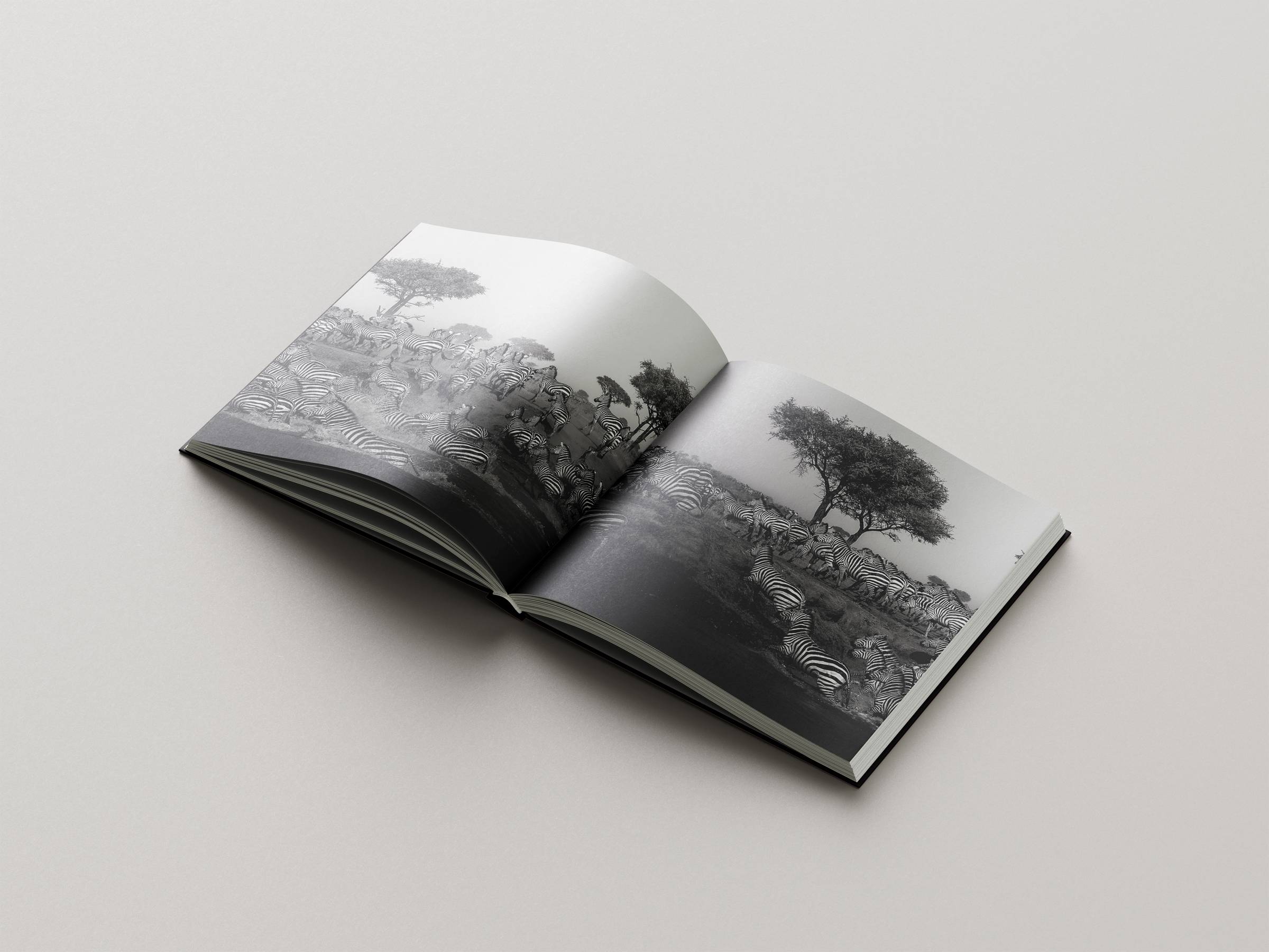 icon art book 