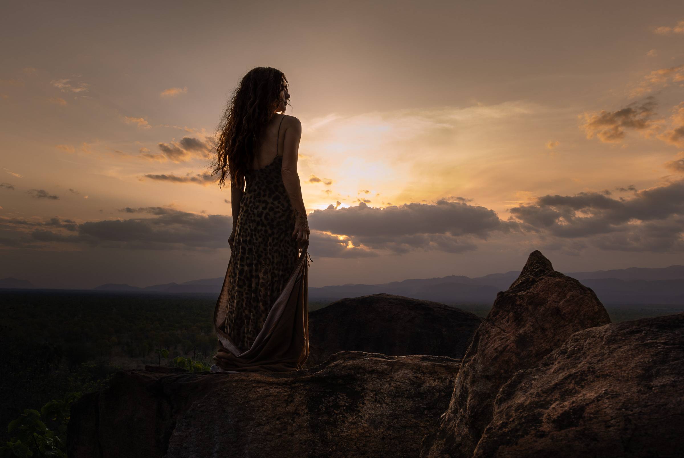 wild in africa