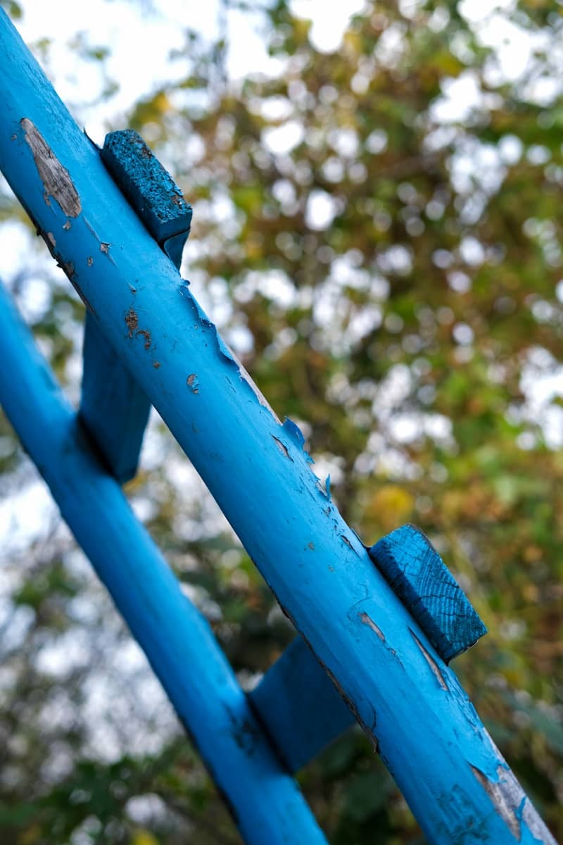 bright blue ladder leaning against a wall