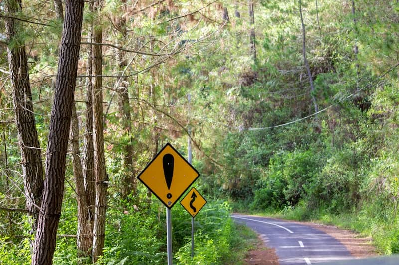 Yellow exclamation sign on a tree lined curvy road