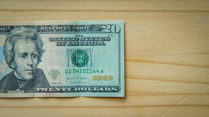 A twenty-dollar bill rests on a light wooden surface.