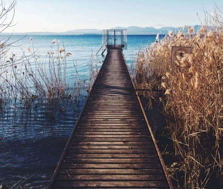 photo of brown wooden boardwalk nearby sea