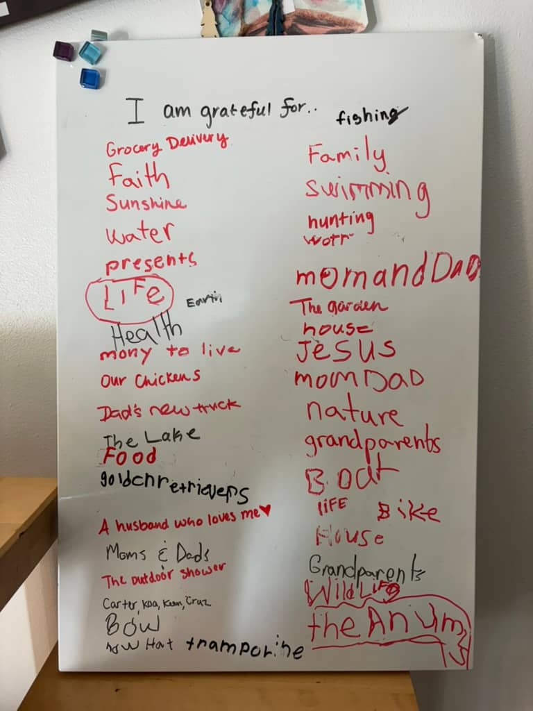 A whiteboard photo showing everything my family is grateful for.