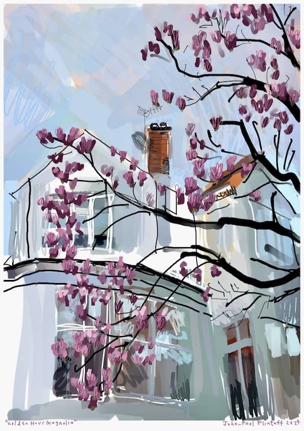 Branches of a magnolia in flower, with the top of a house behind