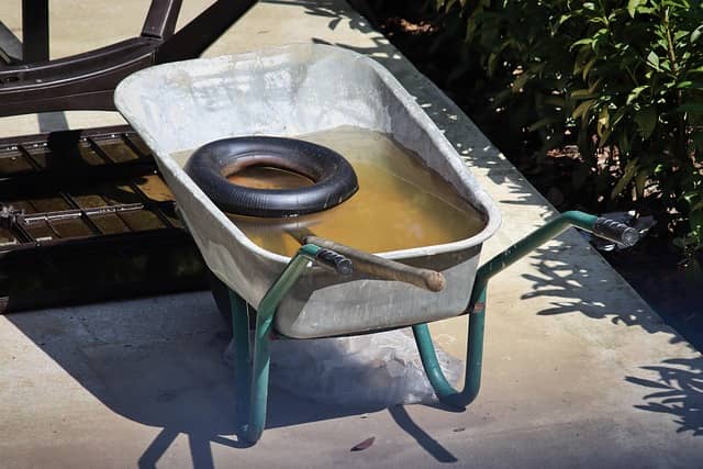 tire in a wheelbarrow filled with stagnant water