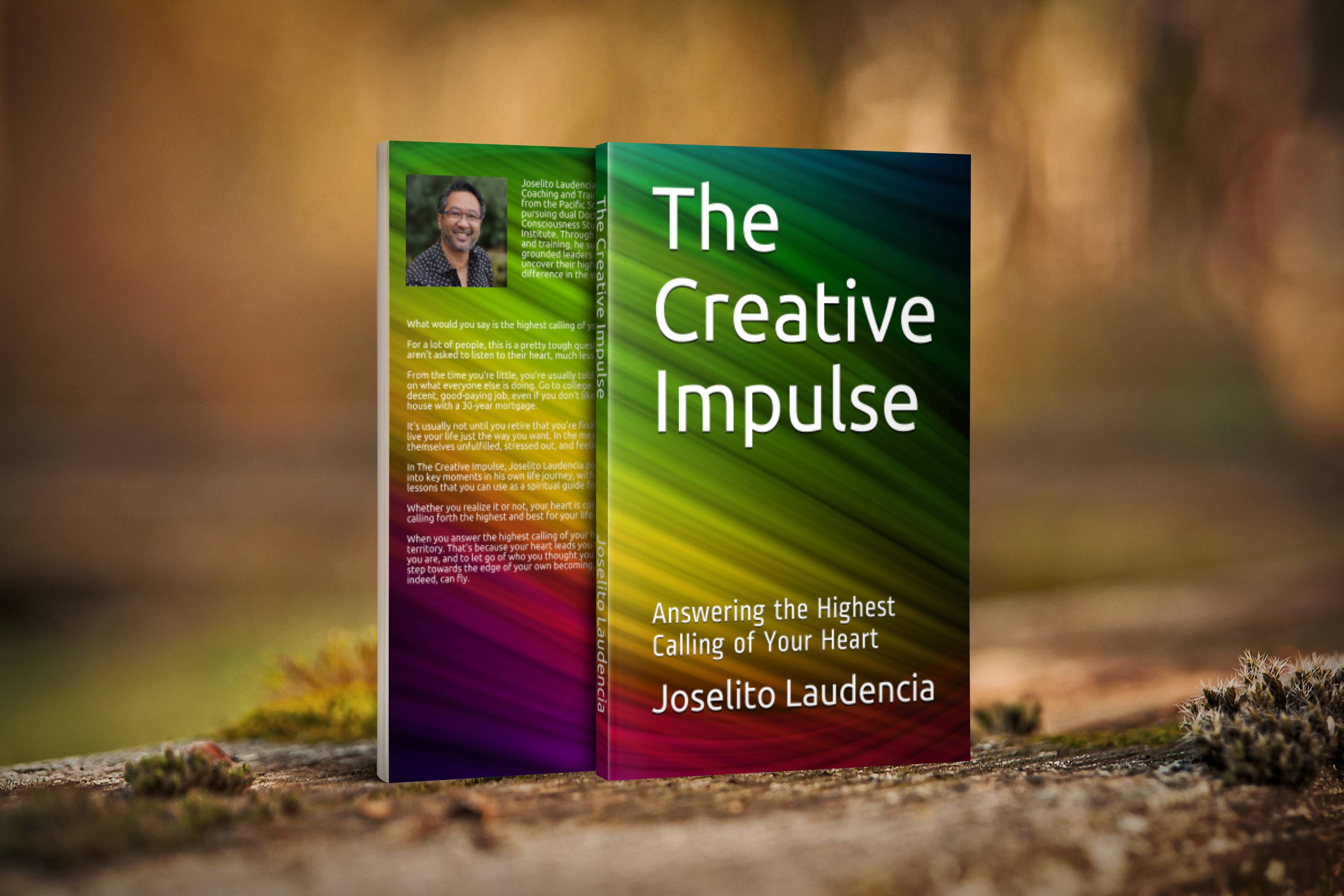 picture of book "The Creative Impulse"