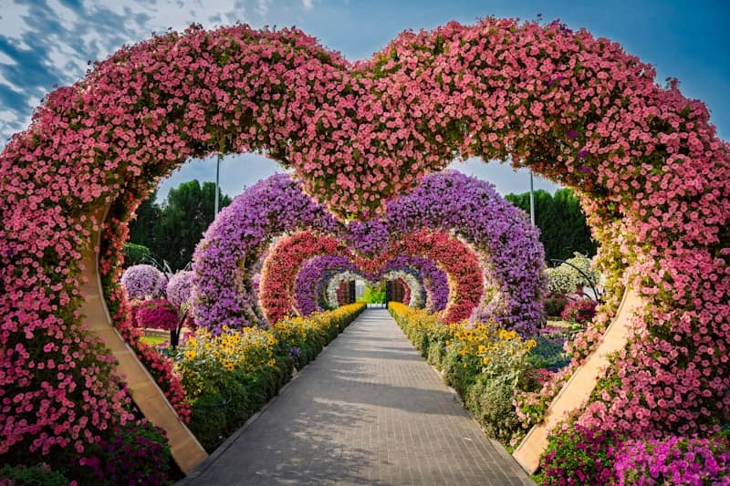 Heart-shaped floral archway over a garden path